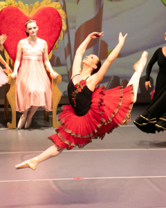 Brianna Gaylord performing the lead of Spanish in Gulf Coast Ballet Theater's production of Clara's NYC Christmas.  Bri is a pre-ballet instructor at Gulf Coast Dancenter